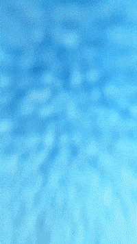 Bonnie Fivenightsatfreddys GIF by Youtooz