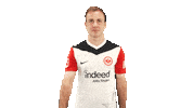 Eintracht Frankfurt Sticker by Bundesliga