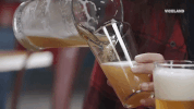beer GIF by BEERLAND
