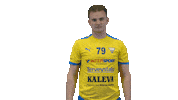Floorball Salibandy Sticker by F-liiga