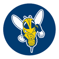 University Of Rochester Yellowjackets Sticker by URAdmissions