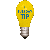 Business Tuesday Sticker by Lantern Capital