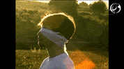 Film Glitch GIF by Medalla