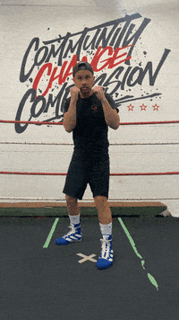 quinitboxing  GIF