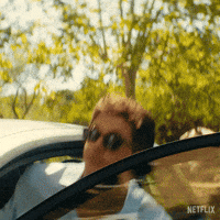 Tom Blyth Getting Out Of Car GIF by NETFLIX