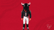 Nfl Flying GIF by Houston Texans