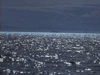 Right Here GIF by SWV