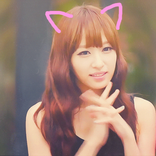 cat hani GIF