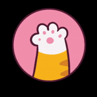 Football Hello GIF by CATECOIN