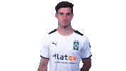 Bundesliga Come To Me Sticker by Borussia Mönchengladbach