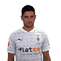 Proud Lars Stindl Sticker by Borussia Mönchengladbach