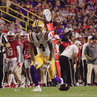 College Football GIF by LSU Tigers