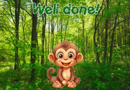 Monkey Expressions GIF