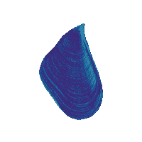 nortesurfest surf recorde nortesurfest norte surf fest Sticker