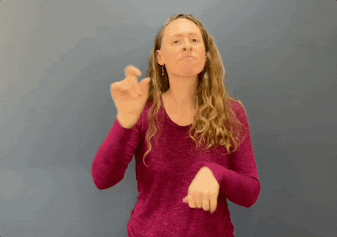 Asl What Are We Doing GIF