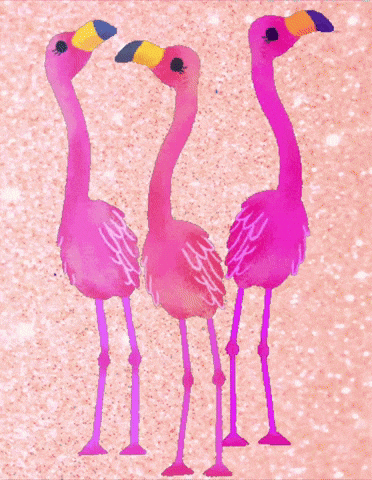 Pink Bird GIF