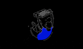 6harf 6harf GIF