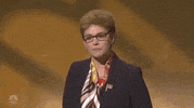 Snl GIF by Saturday Night Live
