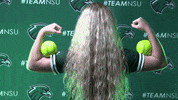 Softball GIF by RiverHawk Sports