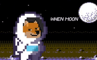 Dogecoin GIF by Retro Doge