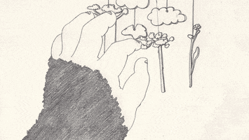 kohanawilson animation 2d animation hand drawn animation pencil animation GIF