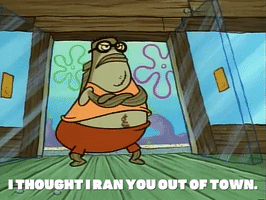 season 1 episode 6 GIF by SpongeBob SquarePants