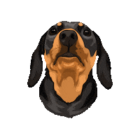 Picklepp Sticker by Pickle's Pawtraits