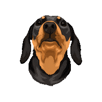 Picklepp Sticker by Pickle's Pawtraits