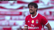 Frustrated Sl Benfica GIF by Sport Lisboa e Benfica
