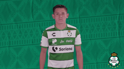 clubsantos giphygifmaker GIF