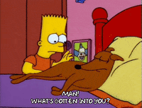 bad day GIF