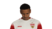Look Up Vfb Stuttgart Sticker by Bundesliga