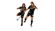 Salibandy Celebrating Sticker by F-liiga