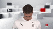 Happy Line Up GIF by Bundesliga