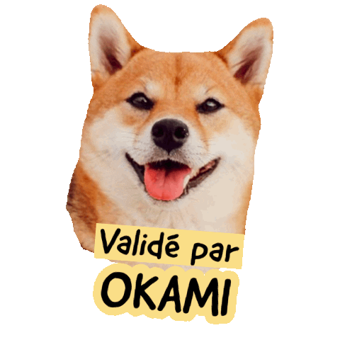Pawsitivepetambassadeur Sticker by Pawsitive pet