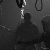 Bison GIF by Think Music