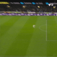 Get In There Premier League GIF by Wolves