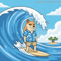 Shiba Inu Deal With It GIF by Doge Pound