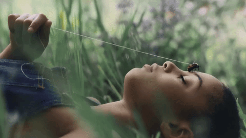 element GIF by Kendrick Lamar