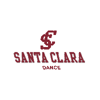 Go Broncos Sticker by Santa Clara Broncos