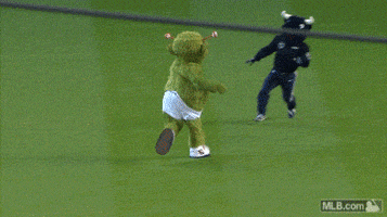 Houston Astros GIF by MLB