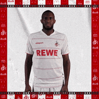 1 Fc Cologne Football GIF by 1. FC Köln