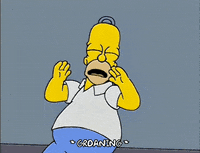 homer simpson GIF