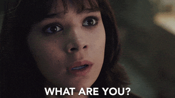 hailee steinfeld what GIF by Bumblebee