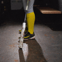 Ncaa Softball GIF by GoDucks