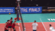 GIF by Volleyball World