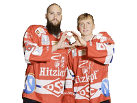 Hockey Sticker by dsc-eishockey