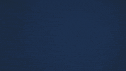 Illinois Football Yes GIF by Fighting Illini Athletics