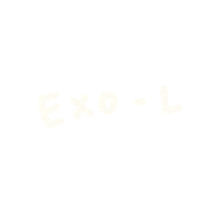 Exo Sticker