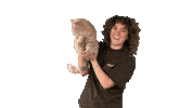 evidocreativeagency cat video creative sam Sticker
